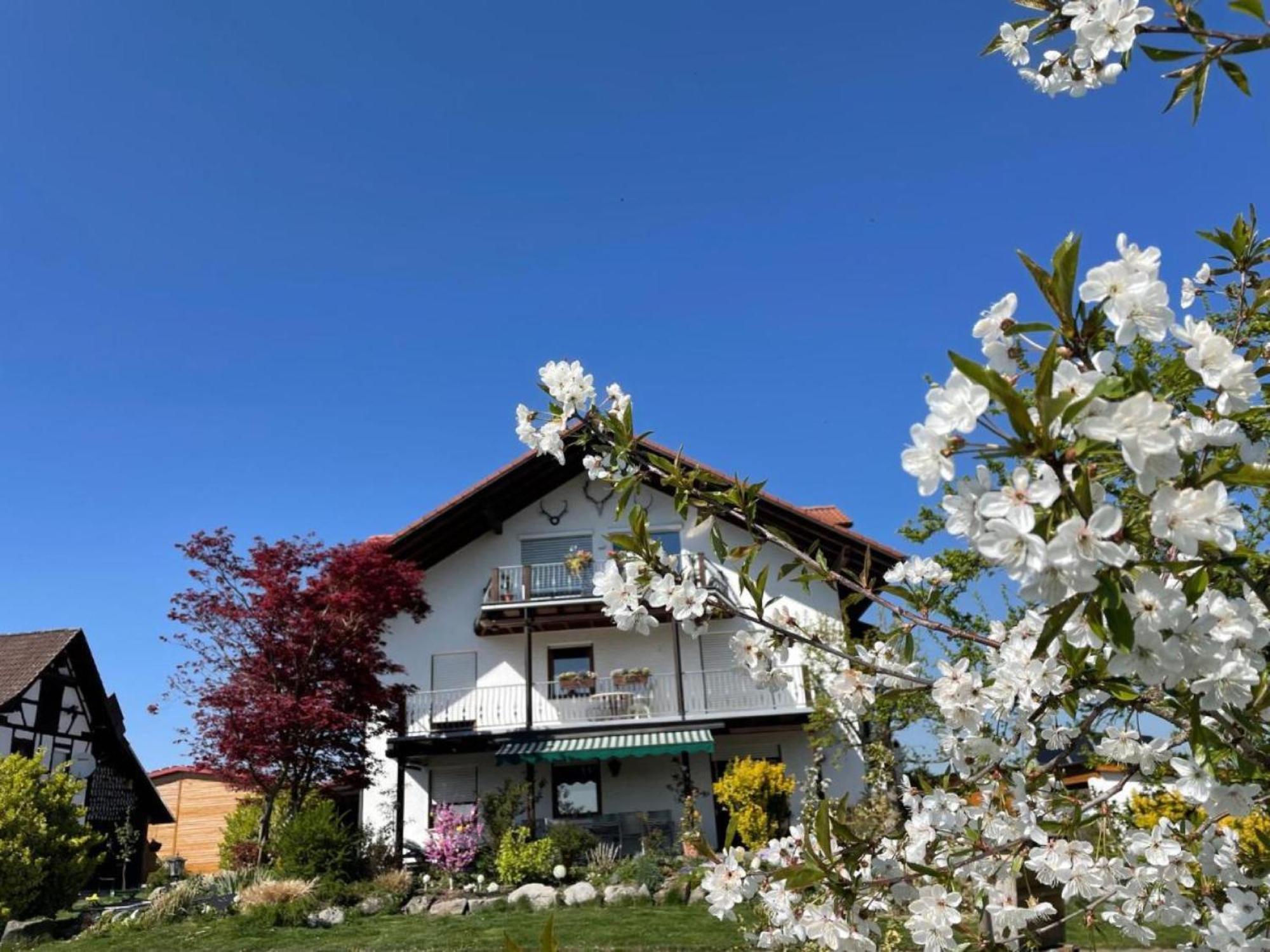 Bergchalet Mirabell - Hofgut FDH Eksteriør billede