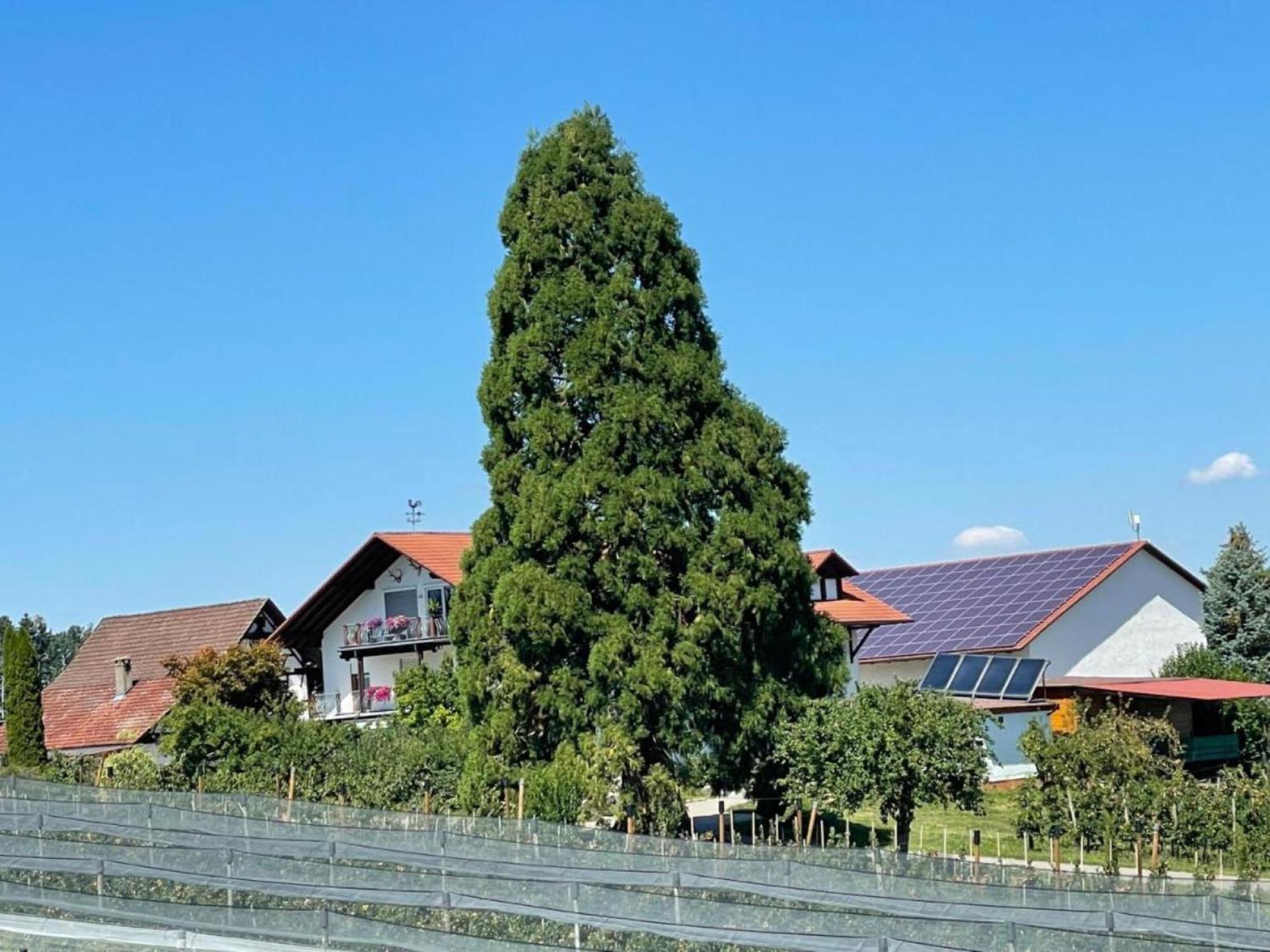 Bergchalet Mirabell - Hofgut FDH Eksteriør billede