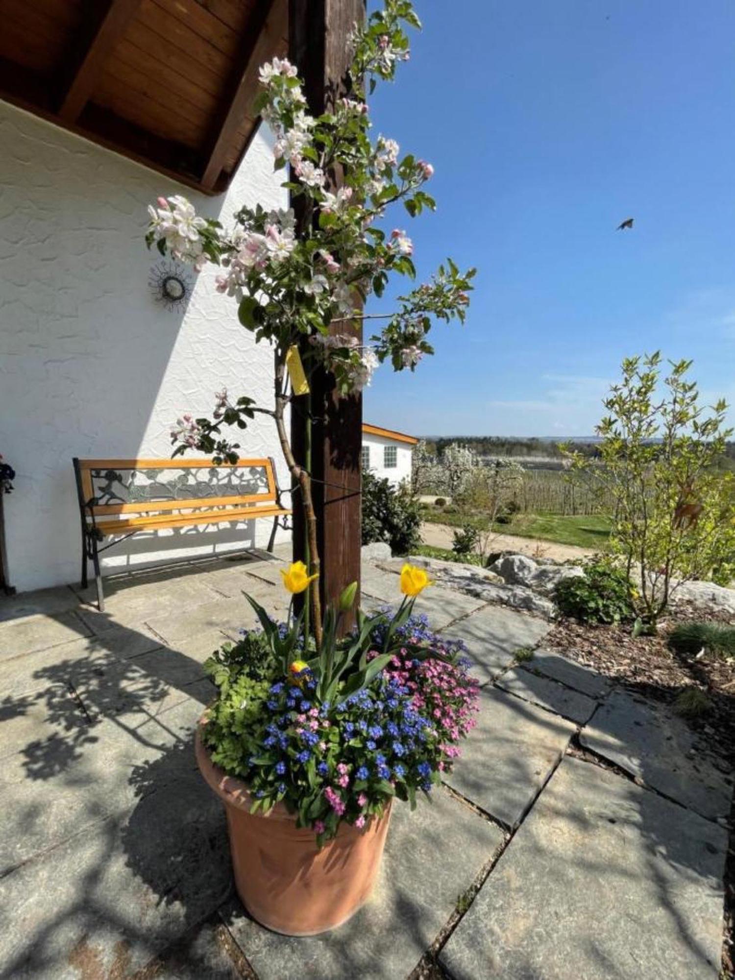 Bergchalet Mirabell - Hofgut FDH Eksteriør billede