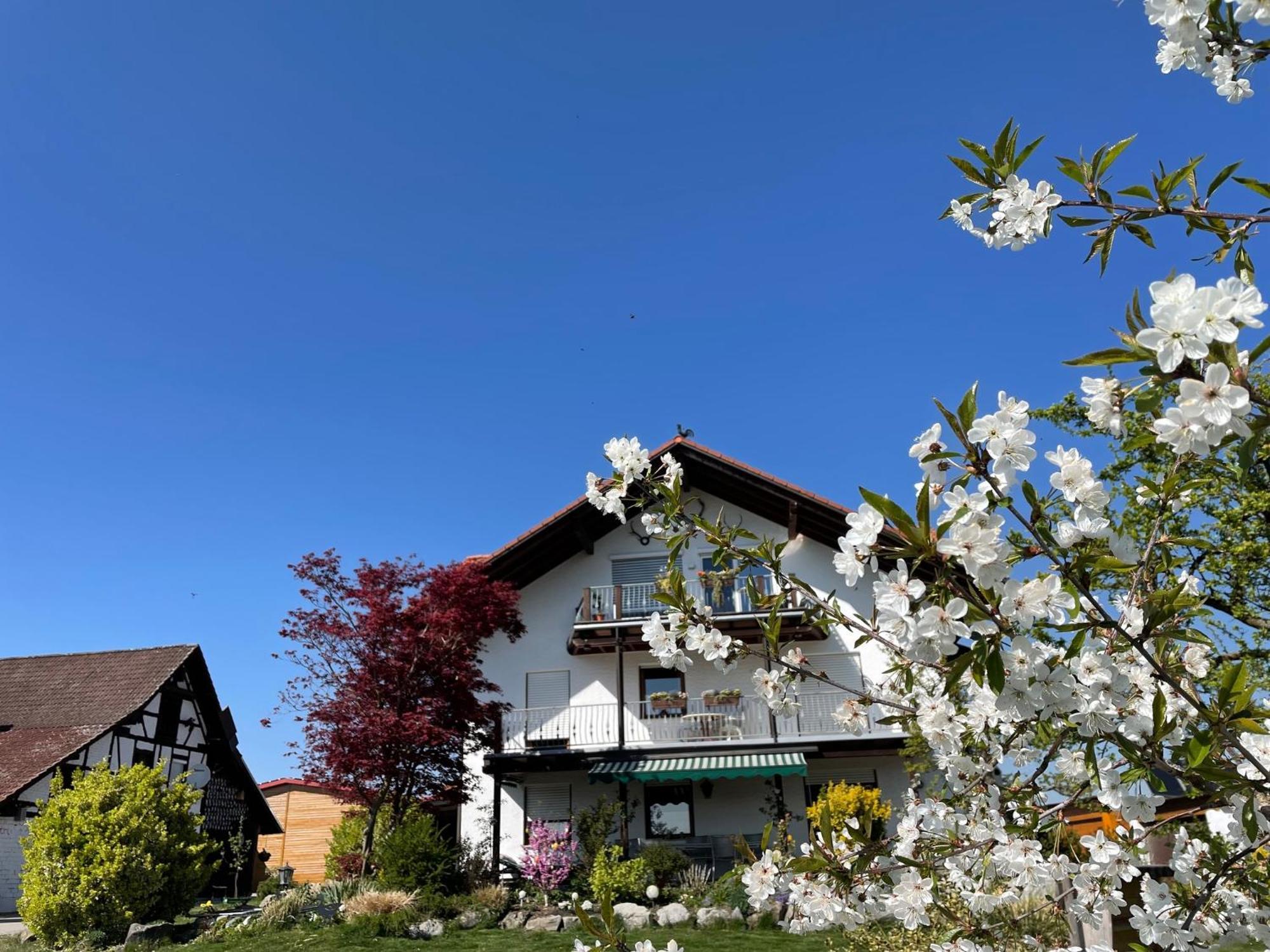 Bergchalet Mirabell - Hofgut FDH Eksteriør billede