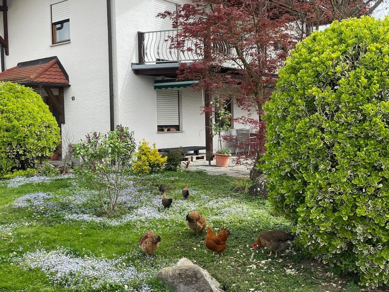 Bergchalet Mirabell - Hofgut FDH Eksteriør billede