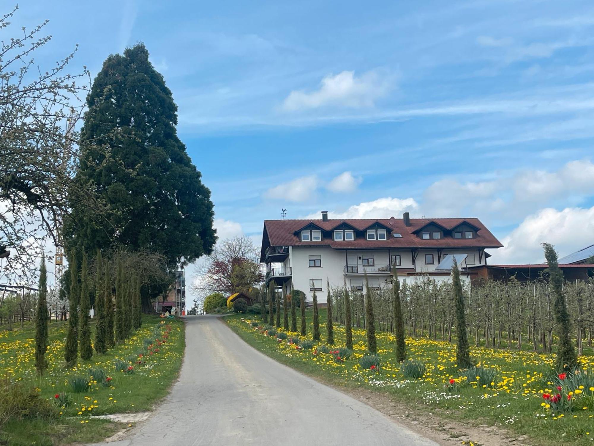 Bergchalet Mirabell - Hofgut FDH Eksteriør billede