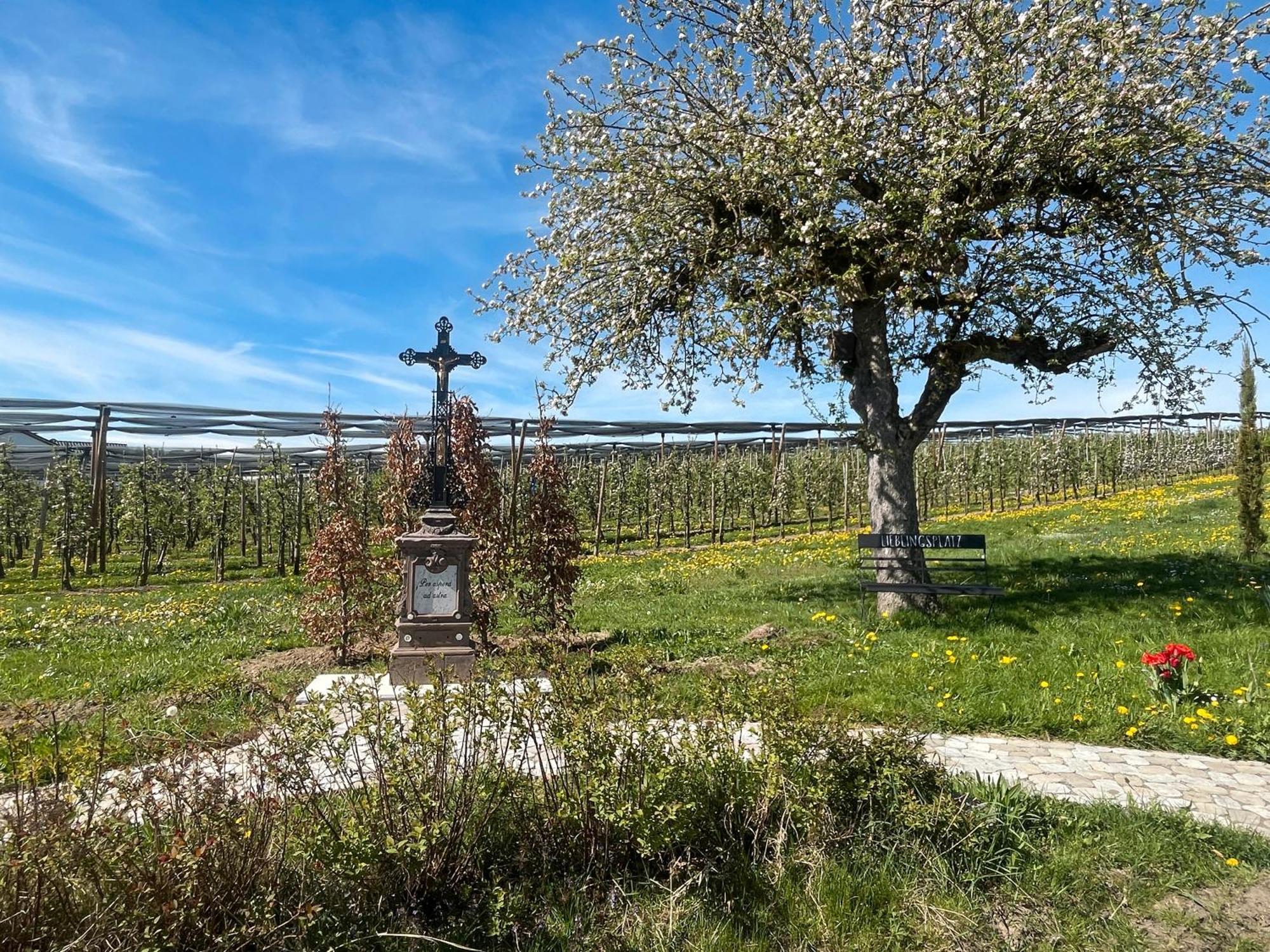 Bergchalet Mirabell - Hofgut FDH Eksteriør billede